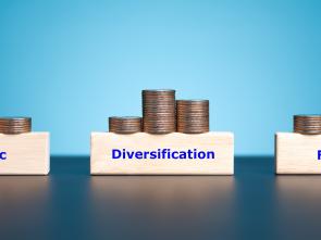 Yaounde: Central Africa adopts high-impact policy agenda to De-risk and fund economic diversification