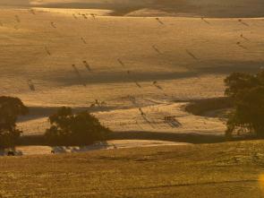 Equipping Leaders to Resolve Land Challenges in Africa through a Political Economy Approach