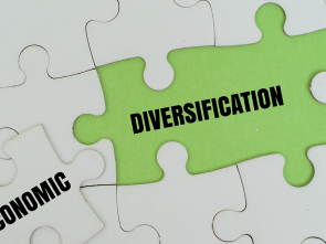 Central African Ambassadors call for stronger political ownership of economic diversification decade reforms
