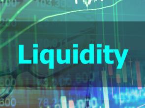 Liquidity and Sustainability Facility (LSF)