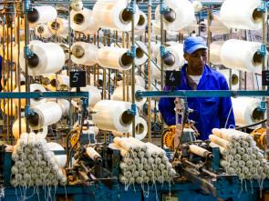 AfCFTA can help Africa’s economies diversify from reliance on export of raw materials to industrialization