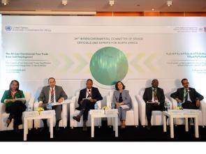 Increased intra-African trade, key to increase employment in North Africa  