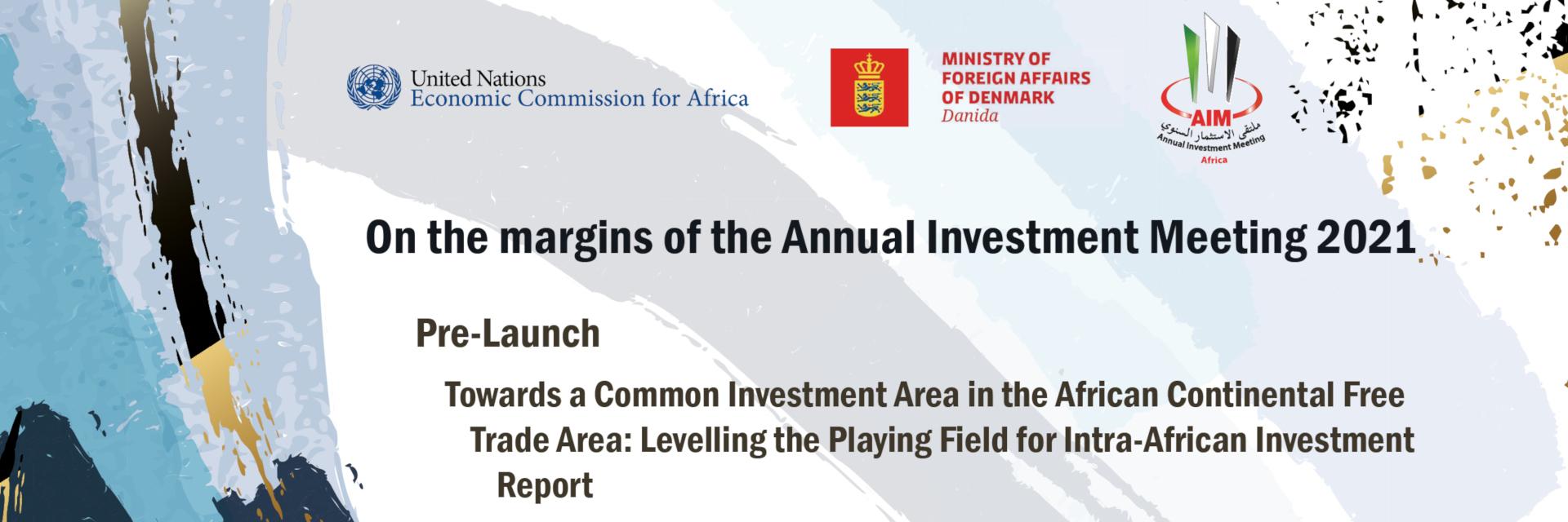 Pre-Launch of the report Towards a Common Investment Area in the African Continental Free Trade Area: Levelling the Playing Field for Intra-African Investment