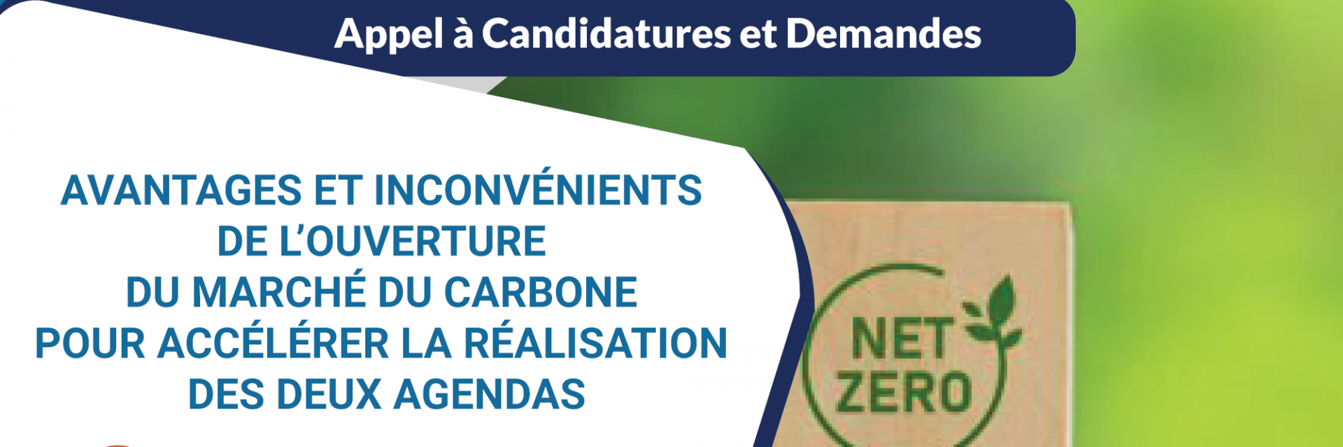 Avantages et inconvénients de l'ouverture du marché du carbone pour accélérer la réalisation des deux agendas