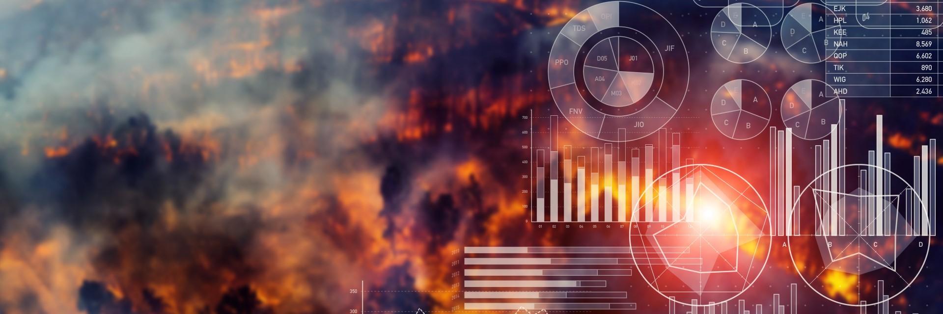 Fourth Global Expert Forum for Producers and Users of Disaster Related Statistics
