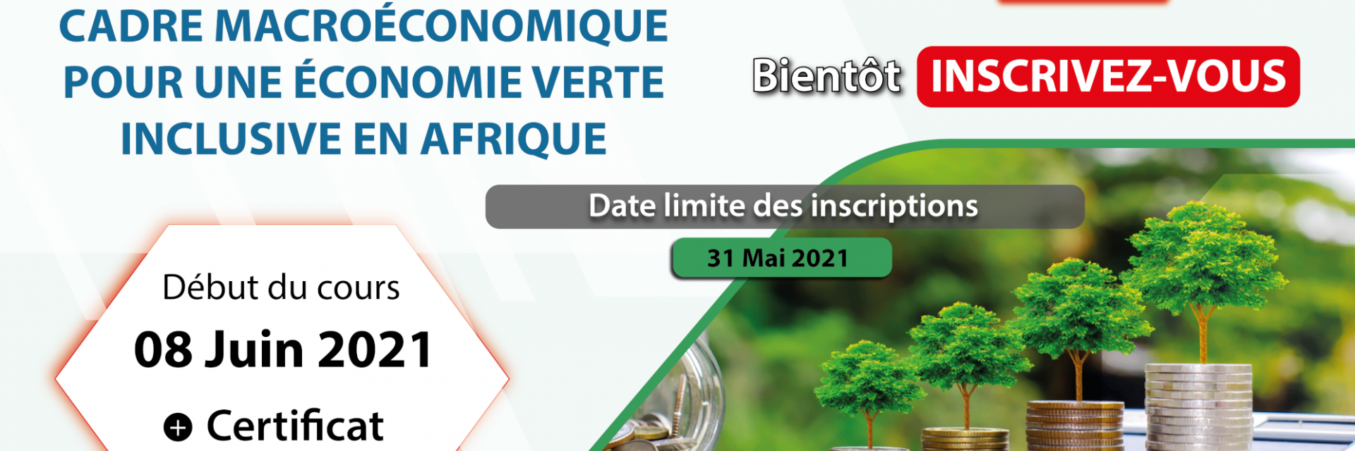 Cadre macroéconomique pour une économie verte inclusive en Afrique