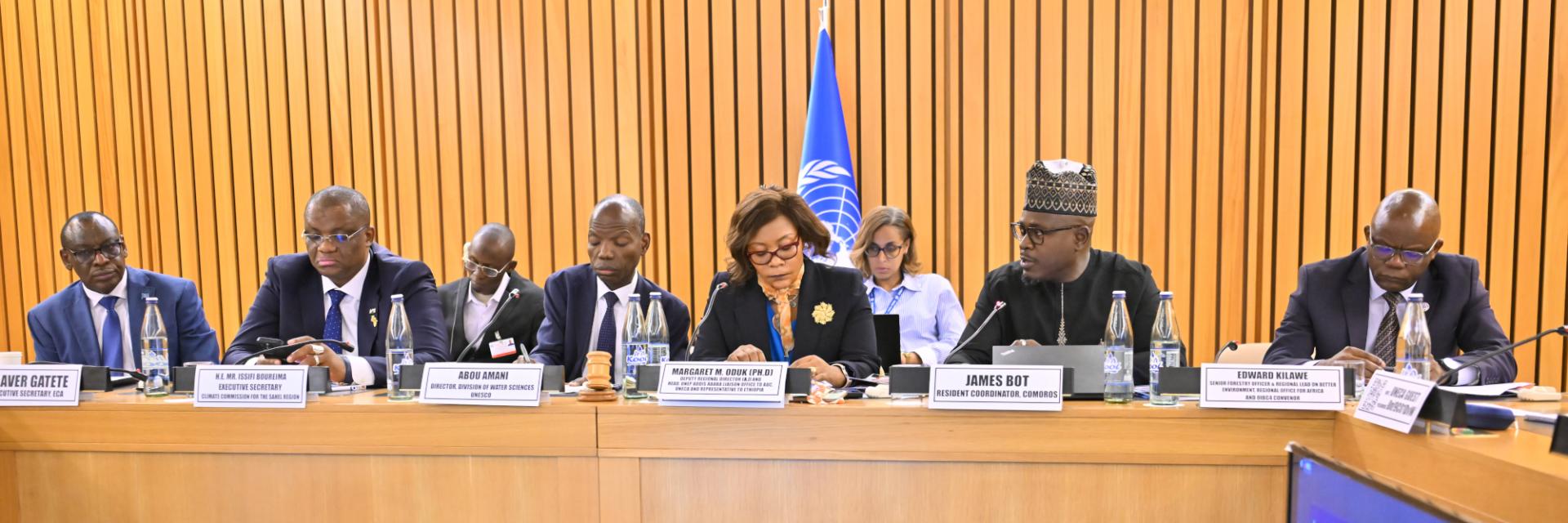 UN Resident Coordinators gather to strengthen domestic resource mobilization for Agenda 2063 and the SDGs in Africa