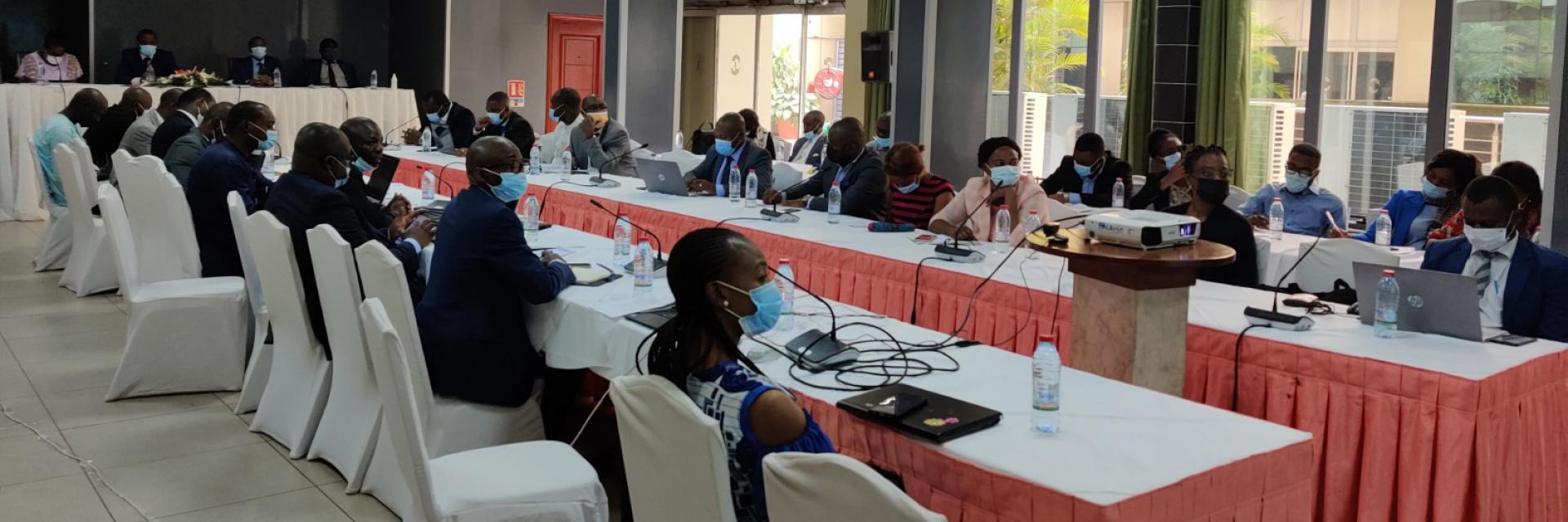 ECA supports Yaoundé in adopting a new economic resilience plan in light of COVID-19