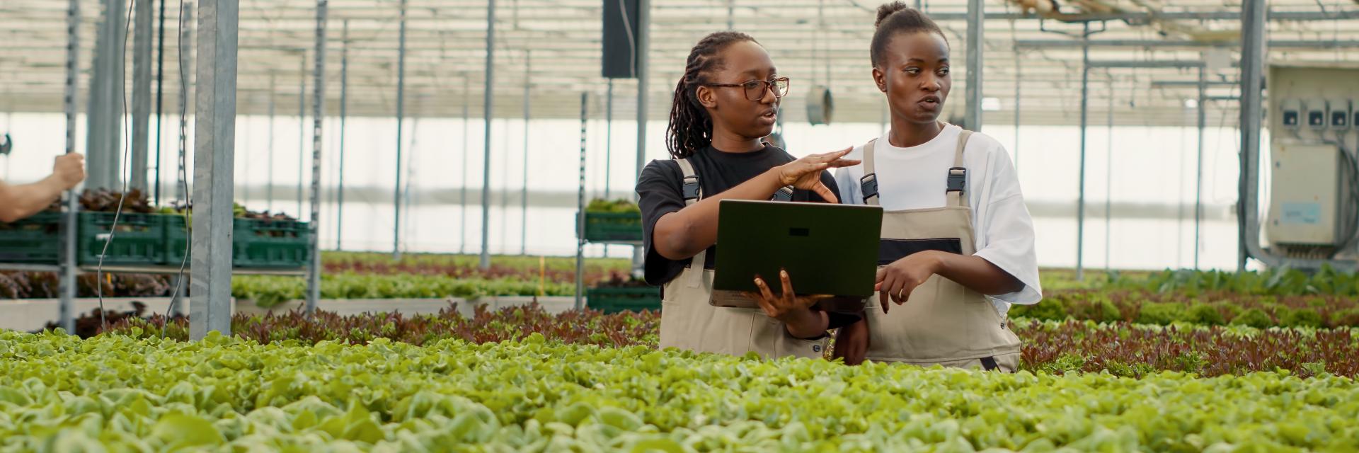 Boosting female entrepreneurship North Africa hinges on enhanced use of digital technologies and access to finance