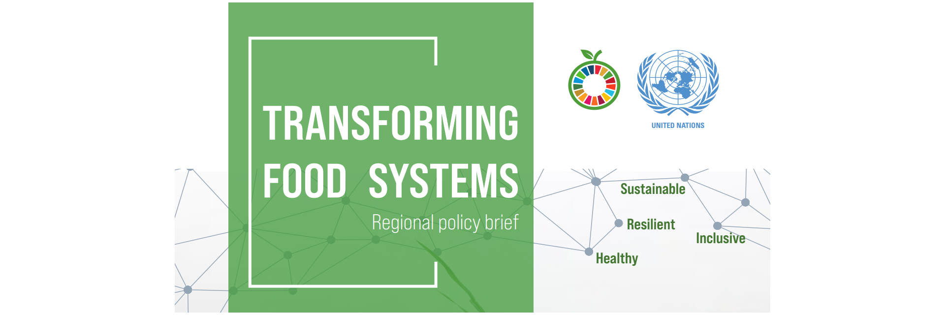 UN regional commissions launch policy brief on transforming food systems