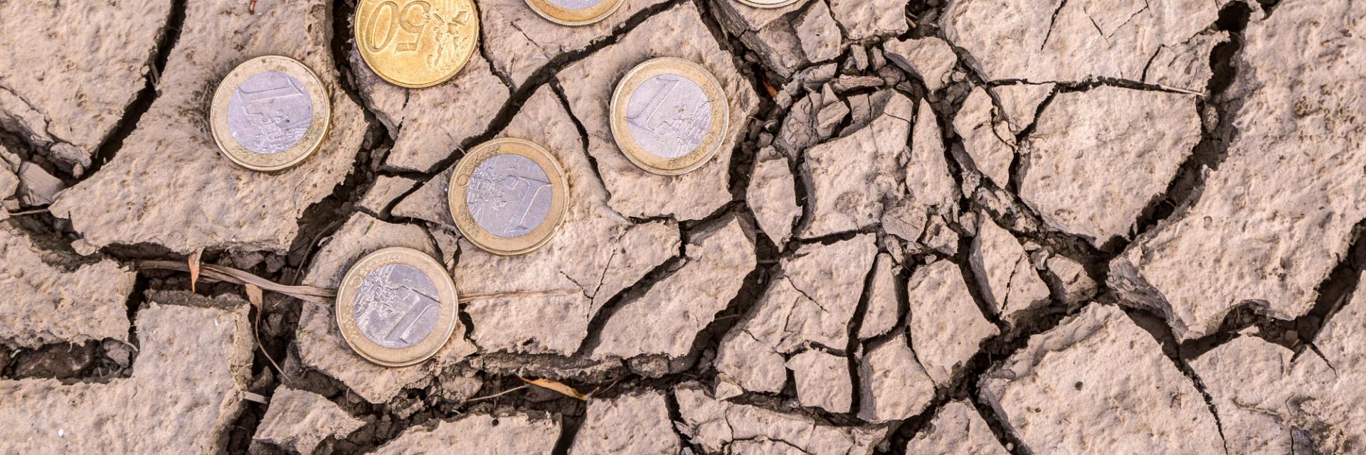 Developed countries asked to finance climate change in Africa