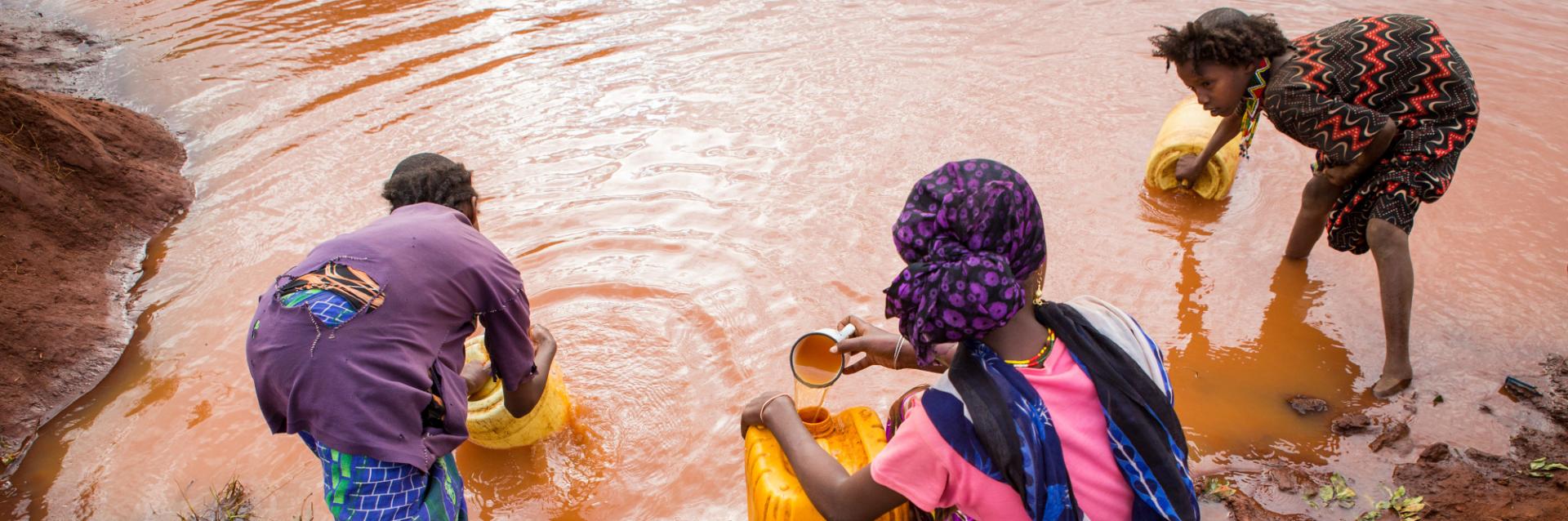 Editorial credit: Martchan / Shutterstock.com