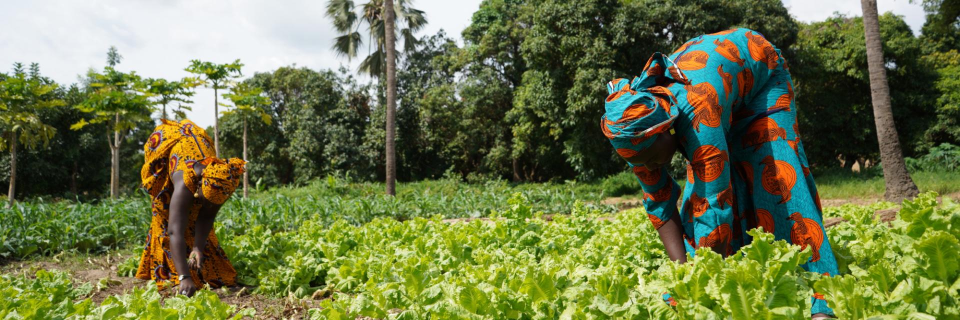 UN forum affirms stronger commitment to achieve sustainable development