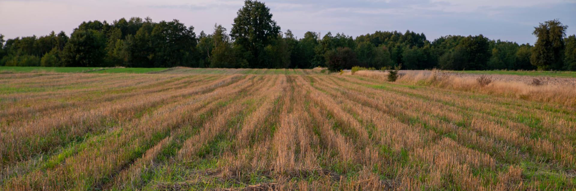 Land Policy Journal paving the way for African scholars