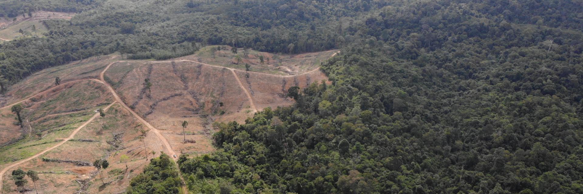 Landmark initiative to reshape how land governance is taught in Africa kicks off