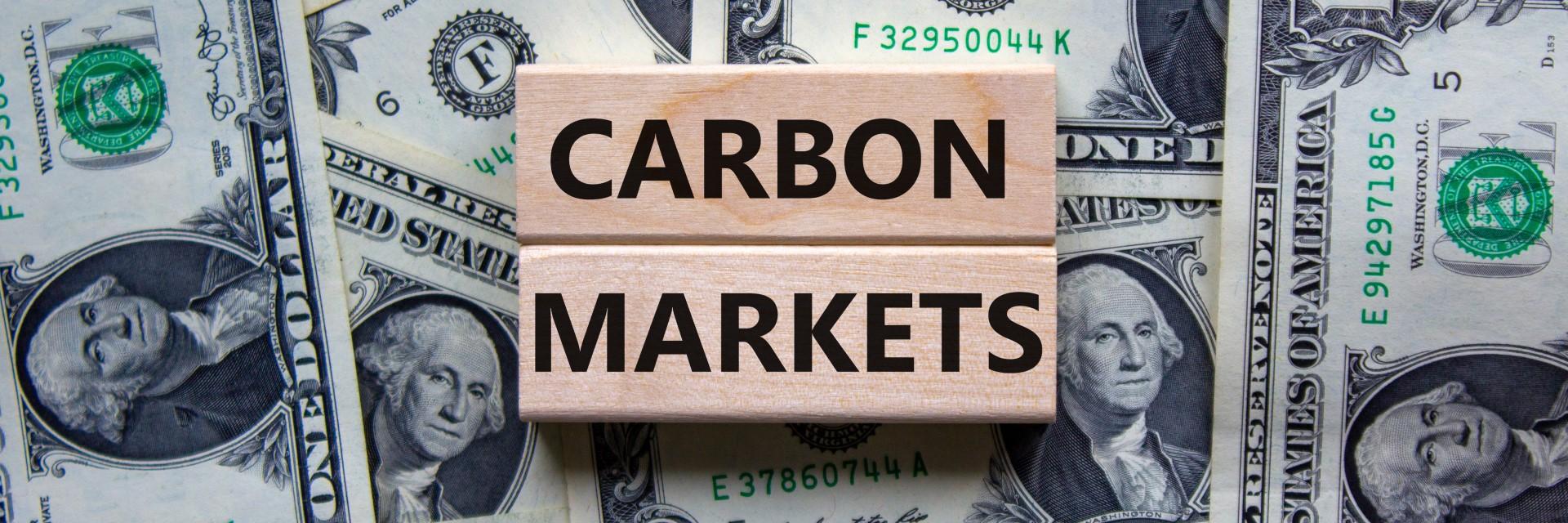 African countries could leverage their vast renewable energy and natural resources to export premium carbon credits for new revenue streams