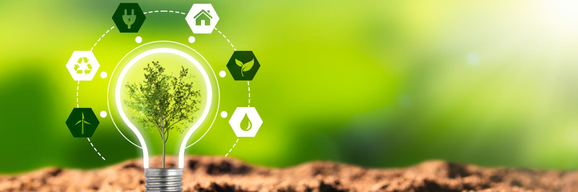 Global leaders meet in Kenya to wrestle with environmental crises