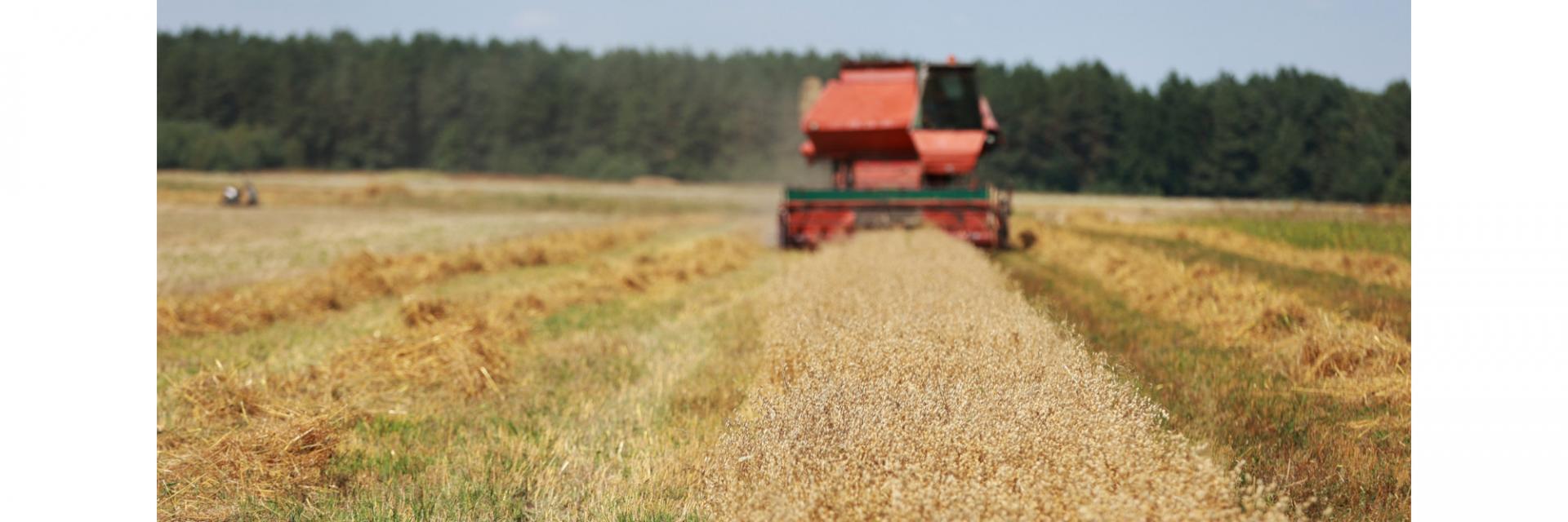 La CEA convie l’Afrique Centrale et l’Afrique de l’Est à une session intergouvernementale conjointe sur la qualité, la sécurité alimentaire et l’attractivité au service de l’industrialisation et la diversification économique