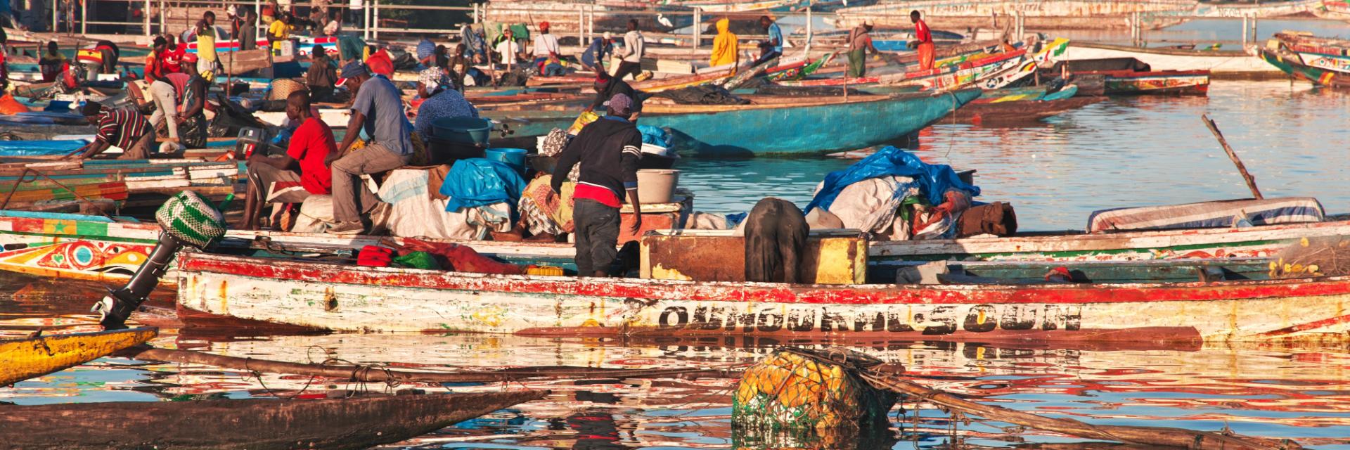 Sixty Senegalese leaders armed with skills to turn social protection into growth engine