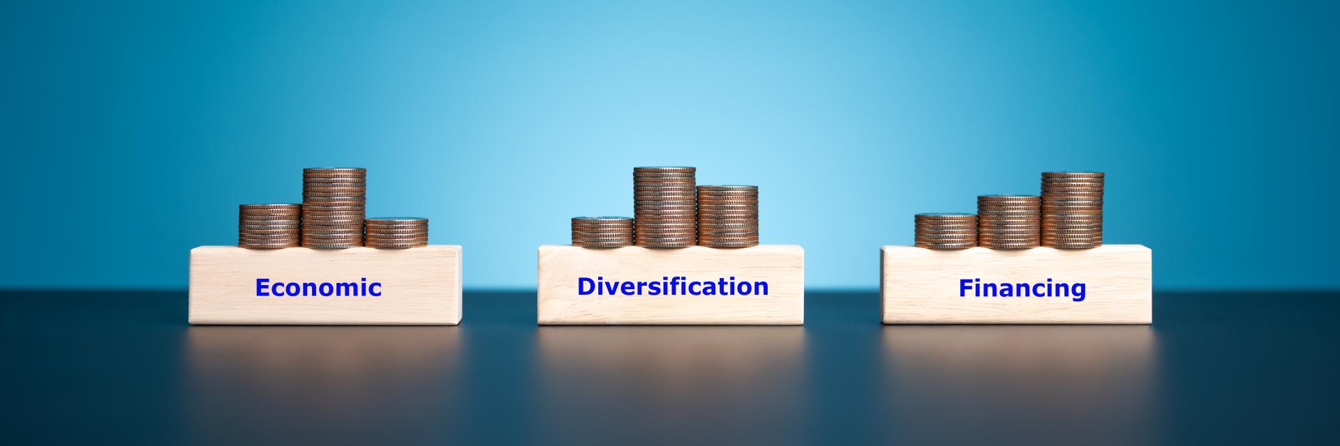 Yaounde: Central Africa adopts high-impact policy agenda to De-risk and fund economic diversification