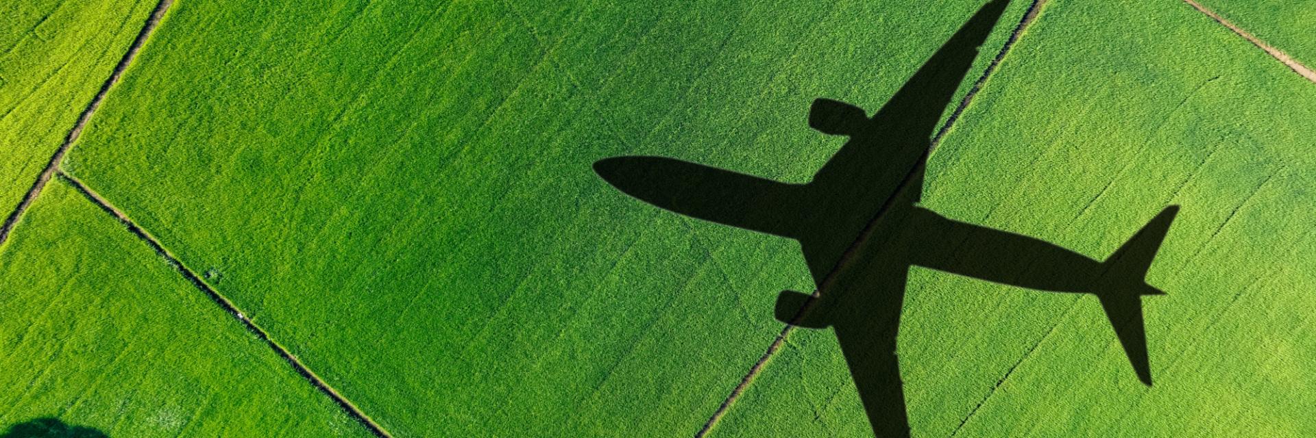 A National Consensus in São Tomé and Príncipe for a Sustainable, Competitive, and Data-Driven Tourism Sector