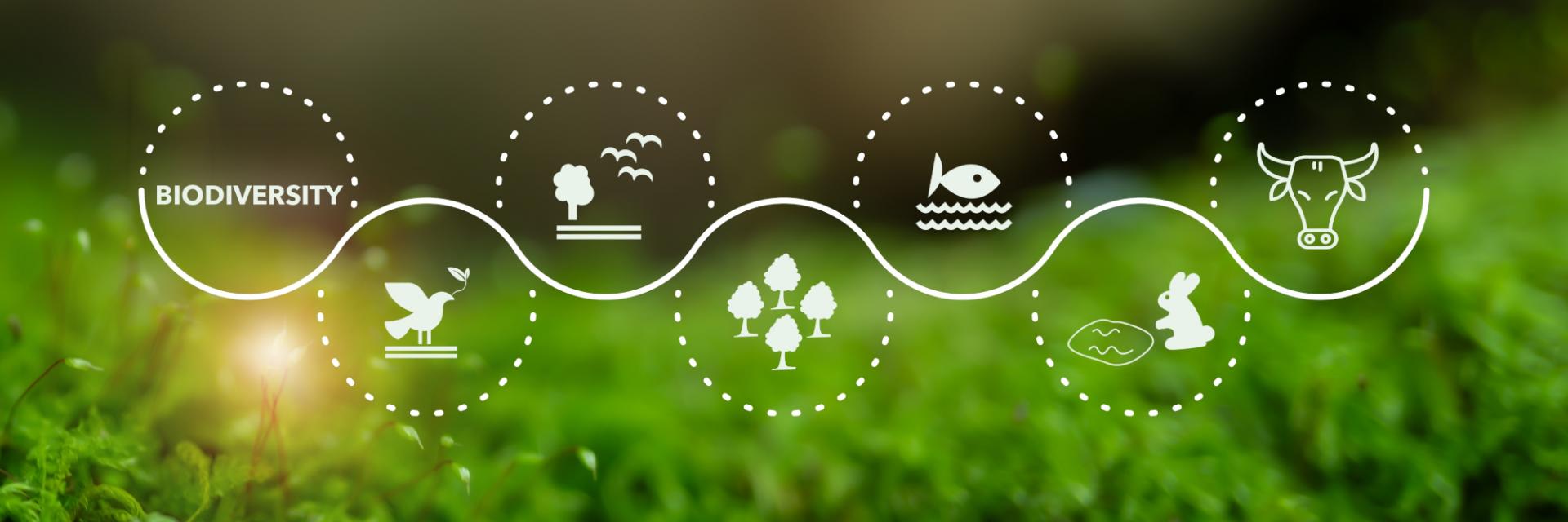 Armenia and ECA mark International Day for Biodiversity with a call for local action and global impact