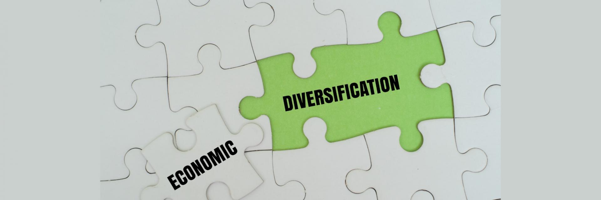 Afrique centrale : des ambassadeurs de la diversification économique pour un nouveau récit de la transformation structurelle