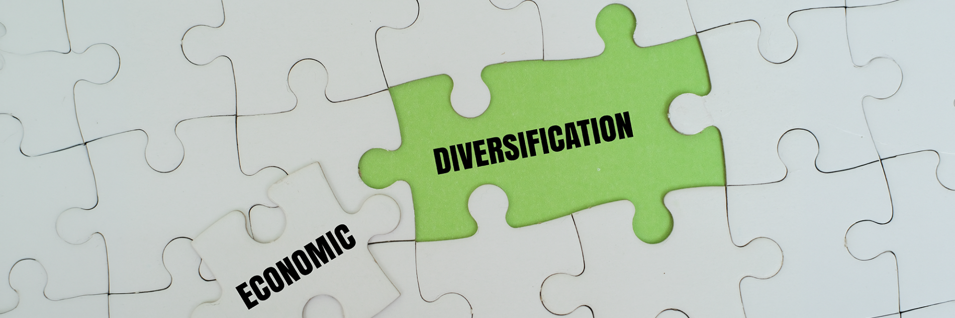 Central African Ambassadors call for stronger political ownership of economic diversification decade reforms