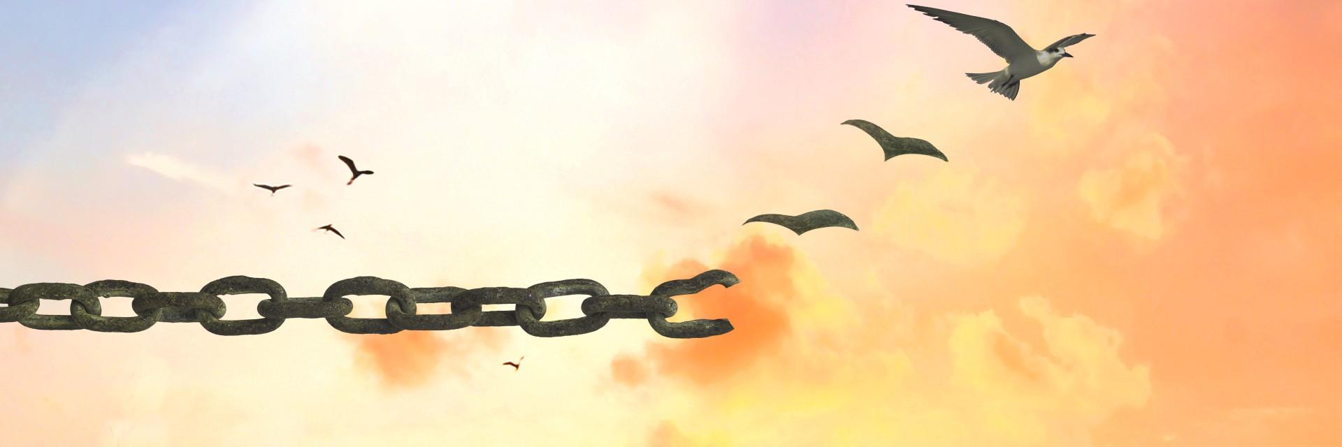 Reparations for Africans must transform the systems that still limit Africa’s future