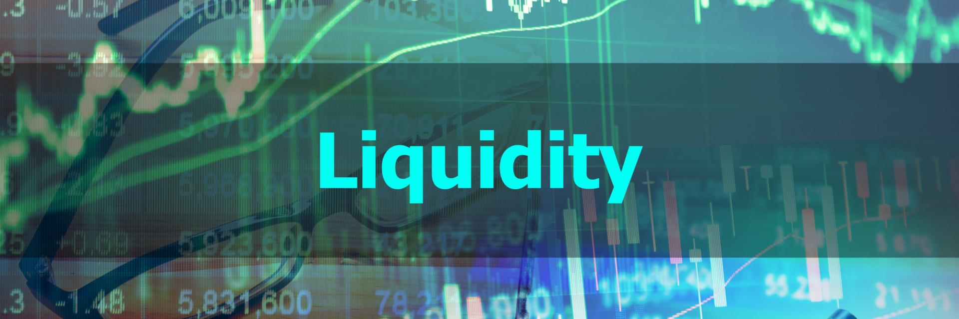 Liquidity and Sustainability Facility (LSF)