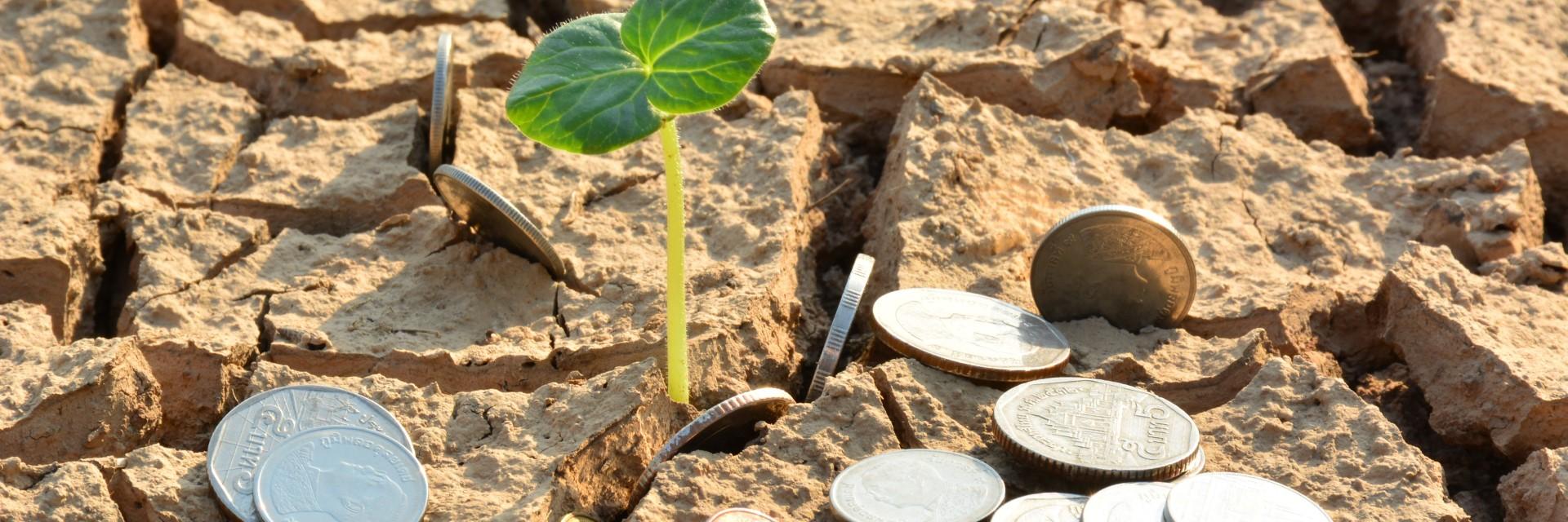 Climate finance: nearly US$3 trillion needed to implement Africa's NDCs