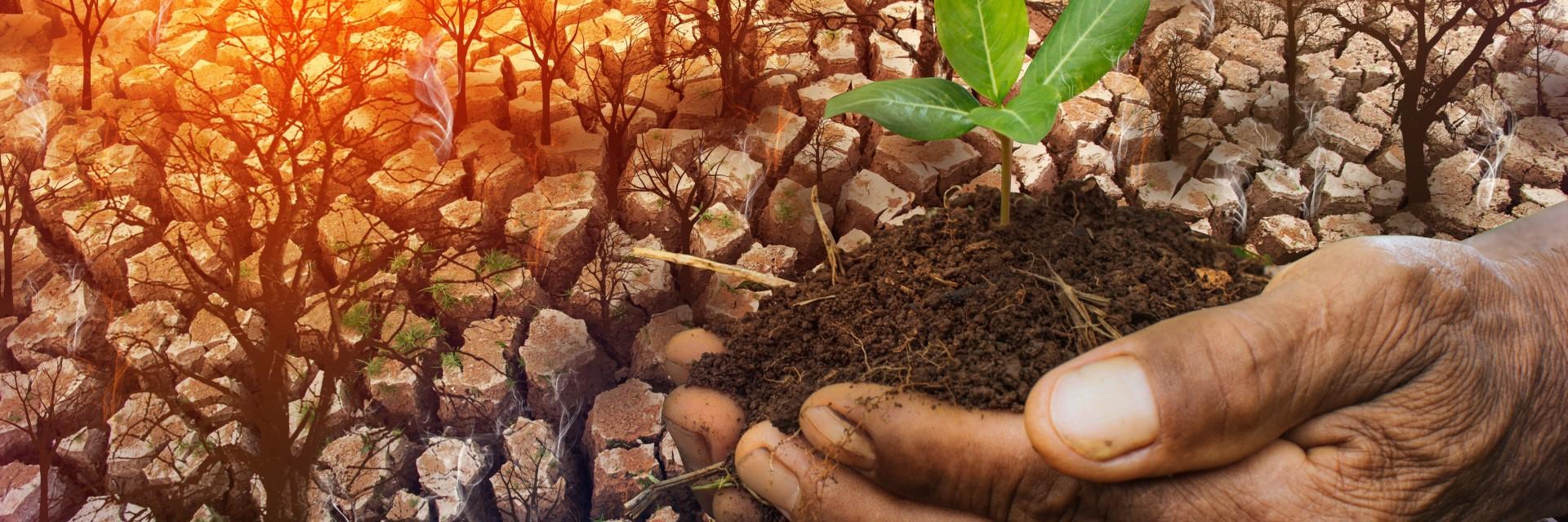 Nairobi to host the 11th Conference on Climate Change and Development in Africa ahead of the Africa Climate Summit