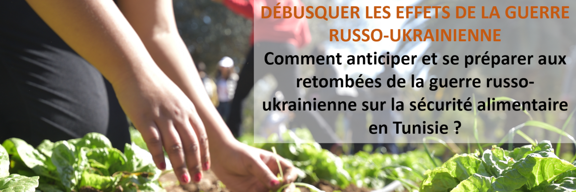 Pour atteindre la sécurité alimentaire, il faudra revoir nos modèles de production et de consommation