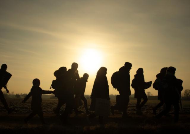 Migration should be embraced, not feared