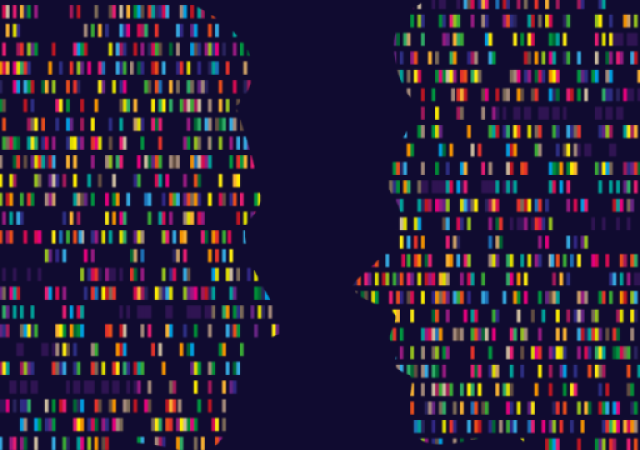 Africa unites to advance the rights and empowerment of women and girls through critical sound gender data