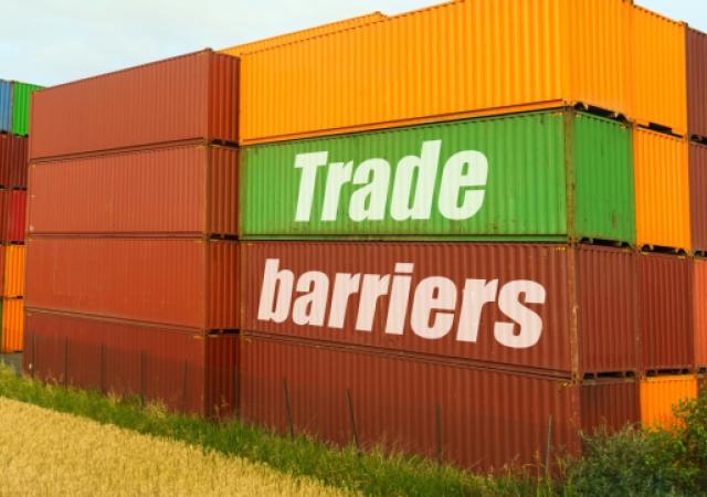 Mnangagwa calls for removal of trade barriers to unlock COMESA's US$1.23 trillion market