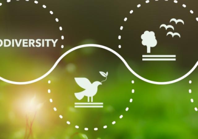 Armenia and ECA mark International Day for Biodiversity with a call for local action and global impact