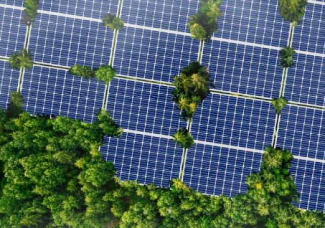 South African stakeholders review and validate recommendations towards accelerating green industrialization in Southern Africa