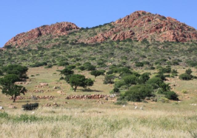 Kenya, UN ECA, AU-IBAR and IGAD launch national effort to build climate resilience in livestock, land and insurance systems