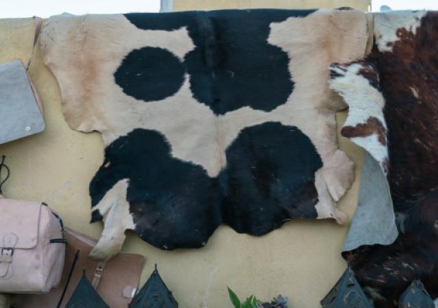 Eswatini validates joint procurement framework to unlock value in its leather sector