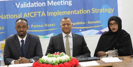 Somalia embraces the AfCFTA, validates its National Strategy