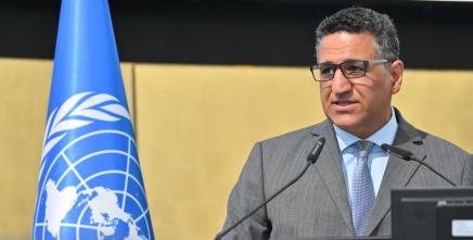 Opening remarks by H.E. Ambassador Amr Aljowaily at the Conference on Land Policy in Africa 