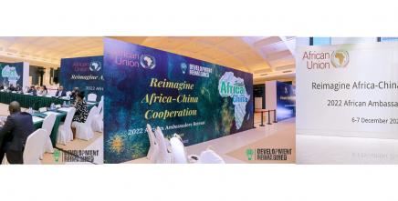 ECA highlights importance of leadership, common action and geo-strategic engagement with China