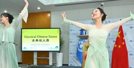 Chinese Language Day marked with a focus on harmony in diversity and global understanding
