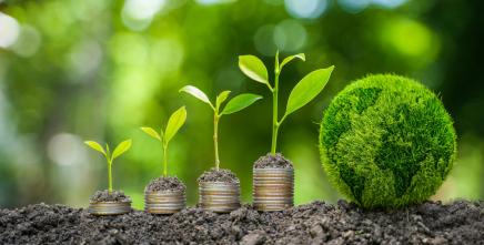 Climate finance: Effective domestic debt management is crucial for African countries