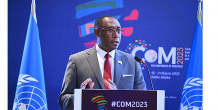 More investment in data and statistics needed in Africa 