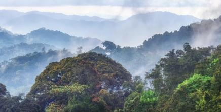 President Sassou Nguesso calls for unique African voice on climate change