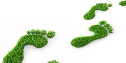 Africa's Workforce at a Crossroads: Navigating Climate Change and the Green Transition