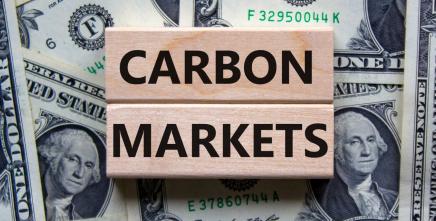 African countries could leverage their vast renewable energy and natural resources to export premium carbon credits for new revenue streams
