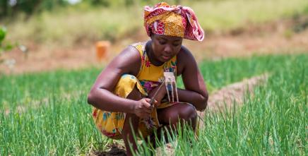 Tanzania geared towards policy, institutional and legal reforms to promote gender-responsive land governance